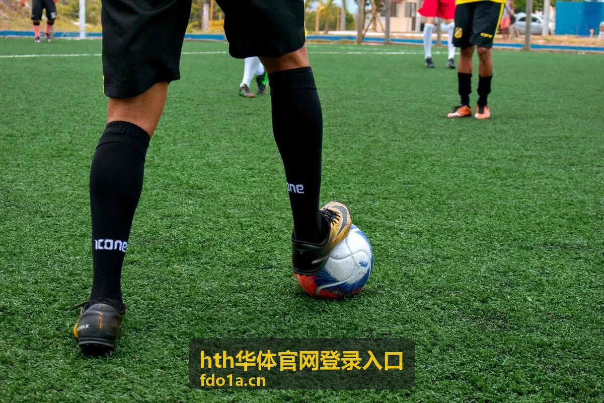 hth华体官网登录入口 战术分析片单封面