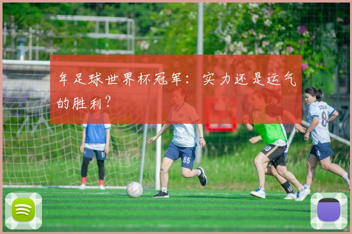 年足球世界杯冠军：实力还是运气的胜利？
