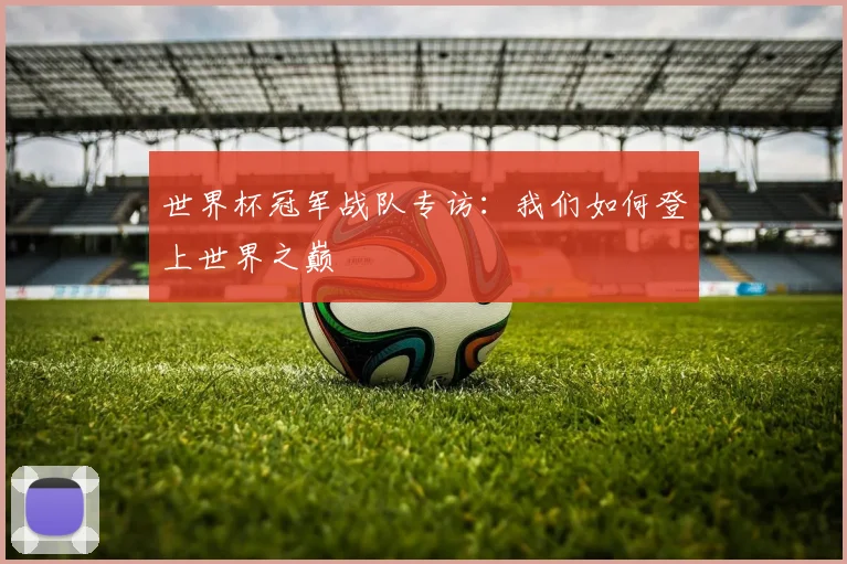 世界杯冠军战队专访:我们如何登上世界之巅