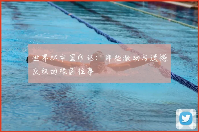 世界杯中国印记:那些激动与遗憾交织的绿茵往事