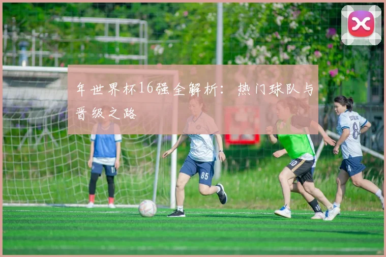 年世界杯16强全解析：热门球队与晋级之路