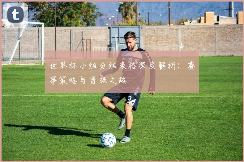 世界杯小组分组表格深度解析：赛事策略与晋级之路